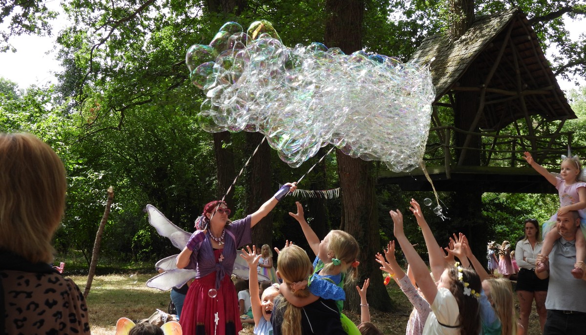 Fairy Picnic