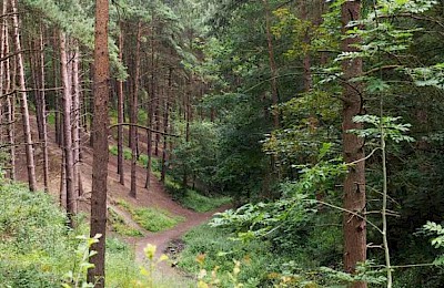 Irchester Country Park