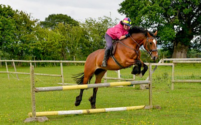Equestrian