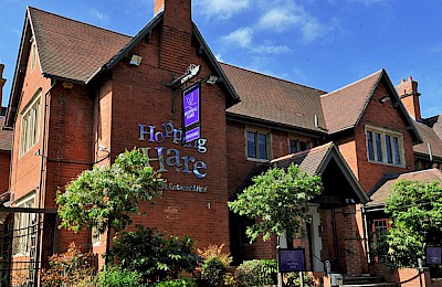 The Hopping Hare