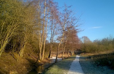 Fermyn Woods Country Park