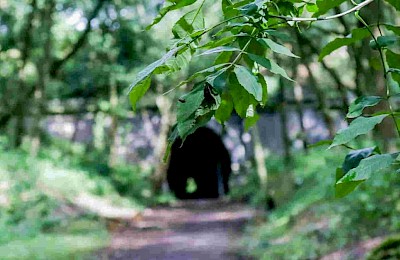 Brampton Valley Way