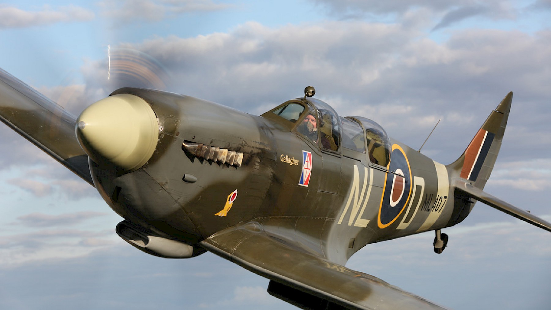 Ultimate Warbird Flights