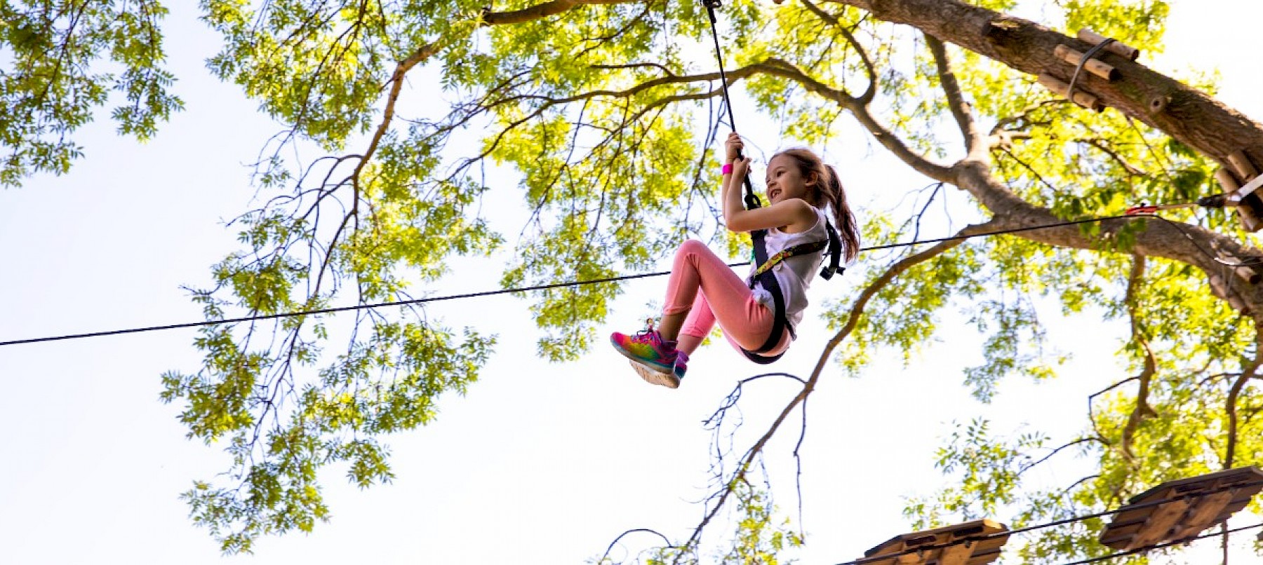 Go Ape