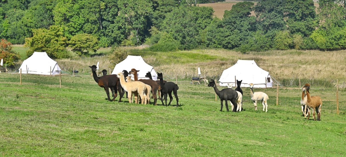 Hideaway Wood Farm